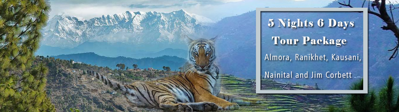 Almora Kausani Tour Package