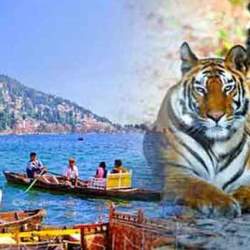 Almora Jim Corbett kausani Nainital tour package